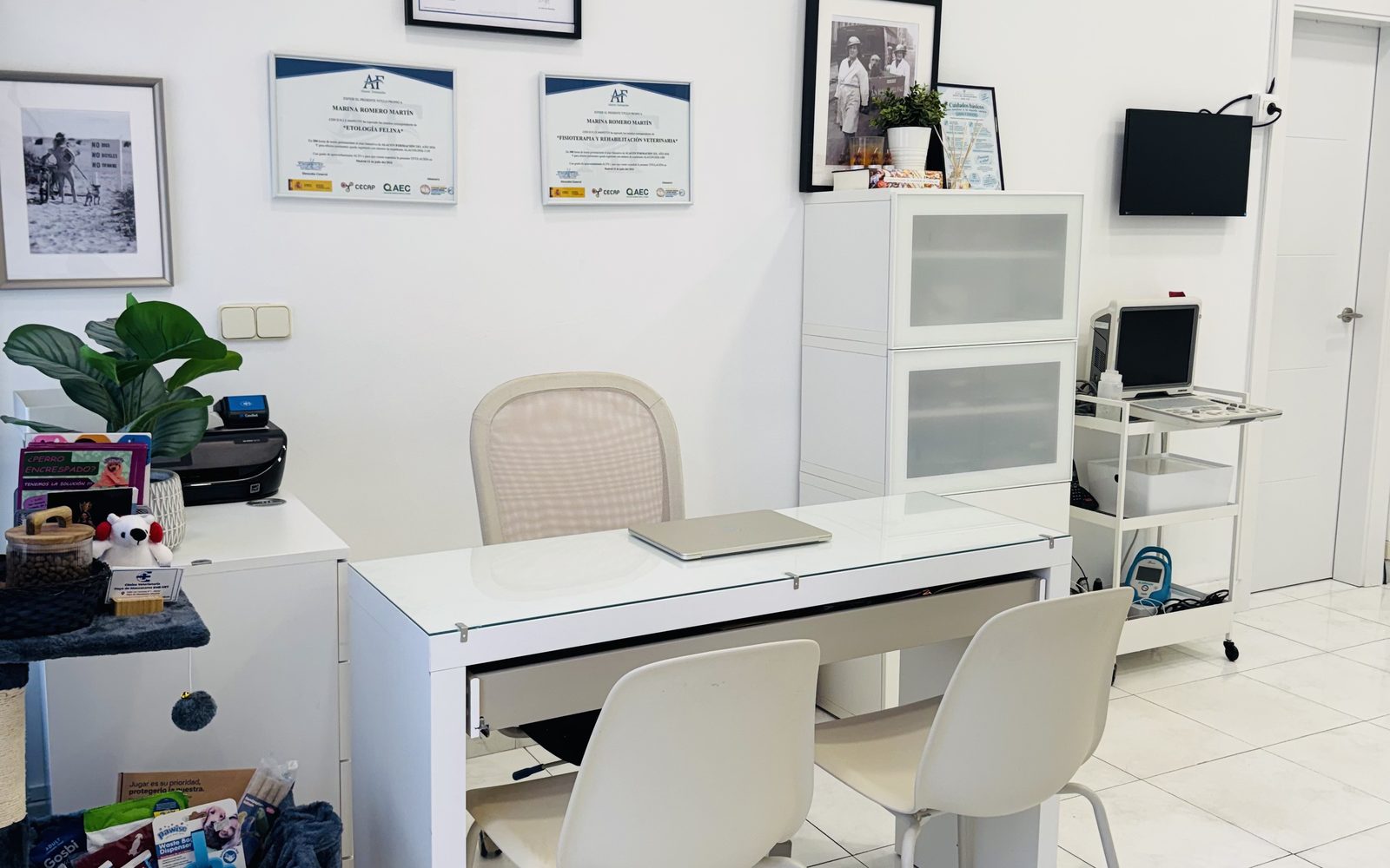 Recepción de la clínica veterinaria EME VET en Hoyo de Manzanares