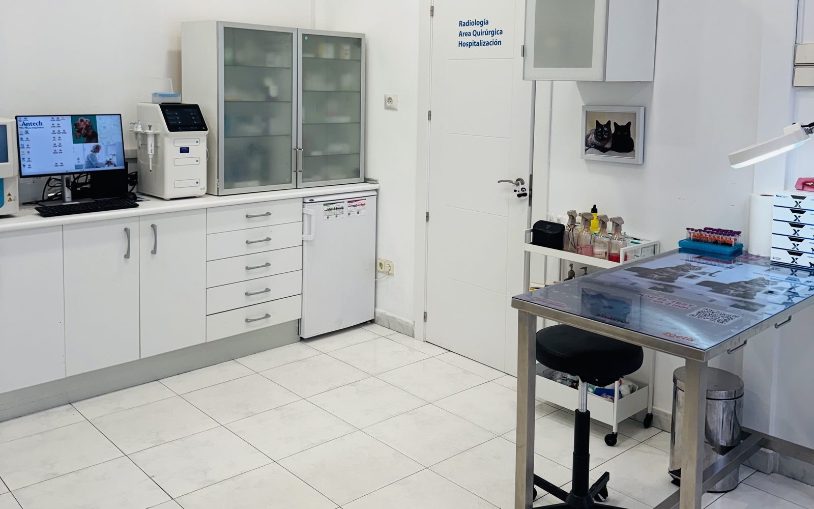 Sala de consulta de la clínica veterinaria EME VET en Hoyo de Manzanares