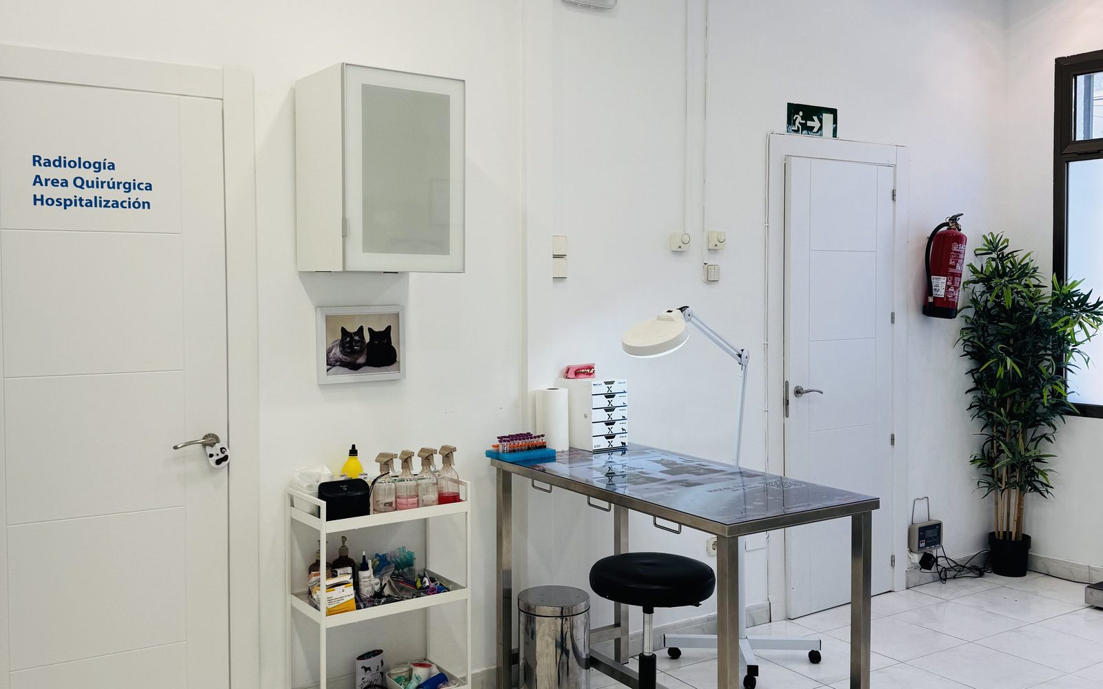 Consulting room with access to radiology, surgery and hospitalisation at EME VET Hoyo de Manzanares